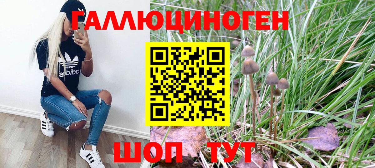 Кунгур  Галлюциногенные грибы GOLDEN TEACHER  Галлюциногенные грибы Magic Shrooms  Вход с VPN 